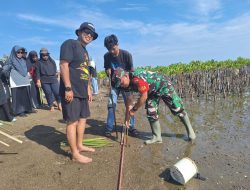 Babinsa Koramil 1424-04/Sinjai Timur Gelar Kegiatan Karya Bakti Penanaman Pohon Mangrove