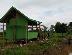 Progres Pembangunan Rumah Singgah TMMD ke- 121 Wiltas Kodim 0910/Malinau Capai 95 Persen