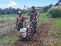 Aktif Dampingi Petani Diwilayah Wujud Nyata Babinsa Kodim 0907/Trk Dukung Han Pangan