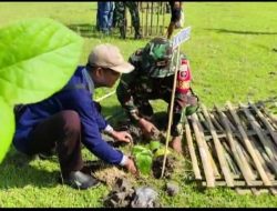 Antisipasi Abrasi Pantai, Anggota Kodim 1412/Kolaka Bersama Warga Tanam Ratusan Pohon di Sepanjang Pesisir Pantai