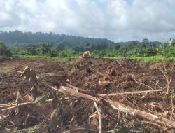 Wujudkan Ketahanan Pangan, Satgas TMMD Ke-121 Wiltas Kodim 0910/Malinau Siapkan Lahan Seluas 60 Hektar