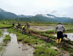 TNI, Polri, dan Petani Bersinergi Perbaiki Irigasi di Geumpang Demi Ketahanan Pangan