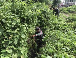 Personel Koramil 1405-07/Tanete Rilau Bersama Masyarakat Laksanakan Kerja Bakti di Desa Paopao