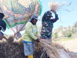 Peran Babinsa Koramil 05 Batang Kodim 1425 Jeneponto Mensejahterakan dan Memakmurkan Petani