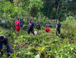 Untuk Menjaga Keseimbangan dan Kelestarian Alam, Babinsa Satgaster Bersama Warga Menanam Pohon