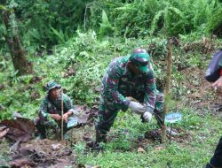 Peringati HUT RI Dan Hari Konservasi Nasional,Kodim 0907/Trk Dan Instansi Terkait Lakukan Penanam Pohon