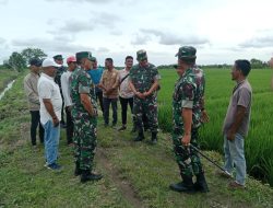 Kapok Sahli Apresiasi Keberhasilan atas Optimasi Lahan (Oplah) Kodim 0116/Nagan Raya
