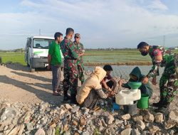 Basmi Hama Wereng di Lahan Demplot, Kodim 1404/Pinrang Terbangkan Drone