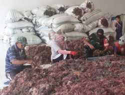 Sambangi Petani Rumput Laut, Babinsa Koramil 1425-03 Tamalatea Lakukan Interaksi Komunikasi