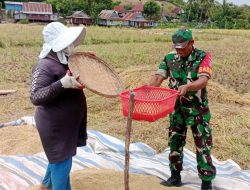 Upaya Kodim 1425 Jeneponto Dukung Program Pemerintah Tingkatkan Produktifitas Pertanian