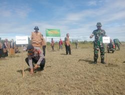 Kodim 012/Pidie Bersama Masyarakat Tanam 1.250 Pohon Mangrove untuk Cegah Abrasi di Pasi Ie Leube