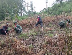 Personel Koramil-02/Sinjai Barat Kodim 1424/Sinjai. Bersama masyarakat Laksanakan Karya Bakti Penanaman Pohon keras