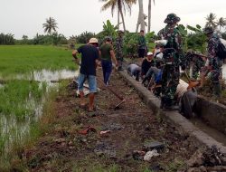 Penuhi Kebutuhan Air Petani, Babinsa Koramil-02 Kodim 1404/Pinrang Bersama Warga Bersihkan Saluran Irigasi