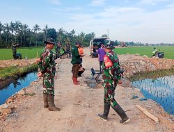Dandim 1404/Pinrang Pantau Penyemprotan Menggunakan Drone Di Lokasi Pertanian Modern Kodim 1404/Pinrang
