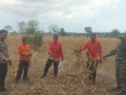 Cegah Dini Karhutla, Babinsa Koramil 1425-02 Bangkala Bersama Bhabinkamtibmas dan Tim Manggala Agni Giat Patroli Terpadu