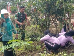 Babinsa Koramil Ponre Bantu Ibu – Ibu PKK Membersihkan Kebun Untuk Tanami Toga