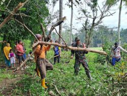 Babinsa Koramil 08 Lamuru Ikut Bergotong Royong Bersihkan Lahan Kosong 