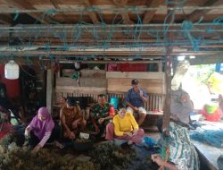 Melalui Komsos, Babinsa 13 Sibulue Berikan Motivasi Kepada Petani Rumput Laut