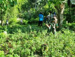 Bersihkan TPU, Anggota Koramil 13/Sibulue Bersama Warga Setempat Ciptakan Lingkungan Bersih