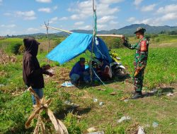 Babinsa Koramil 10 Ponre Komsos Dengan Petani Jagung Desa Bolli