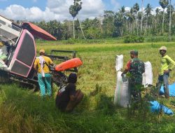 Babinsa Koramil Dua Boccoe Dampingi Petani Menggunakan Mesin Panen Padi