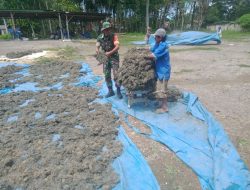 Babinsa Koramil 03/Cenrana Bantu Petani Jemur Hingga Giling Rumput Laut