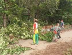 Cegah Pohon Tumbang, Babinsa Koramil Kajuara Bantu Warga Pangkas Pohon