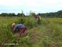 Wujudkan Lingkungan Yang bersih Babinsa Koramil 04/Beutong Laksanakan Gotong Royong Bersama Warga Desa Binaan