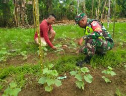 Babinsa Koramil 01/Kuala bantu petani bersihkan hama rumput bersama petani