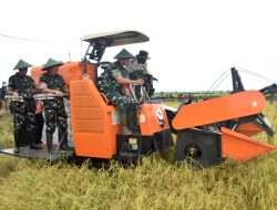 Kasad Panen dan Tanam Padi serta Olah Lahan di Kampung Telaga Sari Kab. Merauke