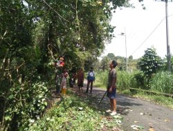 Antisipasi Pohon Tumbang, Babinsa Koramil 1407-18/Kajuara Bersama Warga Pangkas Ranting Pohon