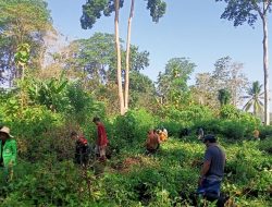 Bersihkan Semak Belukar, Babinsa Koramil 1407-09/Lapri Ajak Gotong Royong Warga Binaan