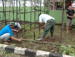 Babinsa Koramil 1407-07/Tanete Riattang Melaksanakan Pemeliharaan Dan Pembenahan Kebun Koramil