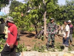 TNI Bersama Masyarakat: Babinsa Kodim 1407/Bone Turun Tangan Bantu Pembangunan Rumah Warga