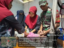 Babinsa Koramil 1407-18/Kajuara Melaksanakan Pendampingan Posyandu Di Desa Pude