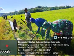 Babinsa Koramil 1407-13/Sibulue Bersama Warga Gelar Kerja Bakti Bersihkan Saluran Air Persawahan