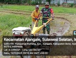 Babinsa Koramil 1407-01/Ajangale Bantu Warga Binaan Bajak Sawah Di Kelurahan Pompanua Riattang
