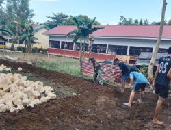 Babinsa Koramil 1407-13/Sibulue Bantu Warga Binaannya Bangun Rumah Di Desa Polewali