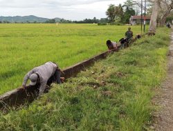BABINSA KORAMIL 1407-13/SIBULUE BERSAMA MASYARAKAT GELAR KERJA BAKTI BERSIHKAN IRIGASI DI DUSUN BELAWAE