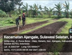 Babinsa Koramil 1407-01/Ajangale Dampingi Masyarakat Buat Bedeng Persiapan Tanam Sayur Di Desa Welado