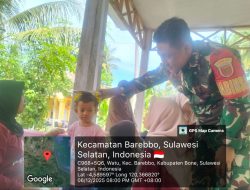 Dukung Kesehatan Masyarakat, Babinsa Koramil 11/Barebbo Dampingi Kegiatan Posyandu Di Desa Watu