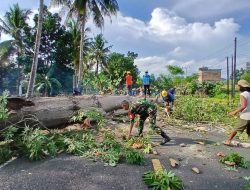 Babinsa Koramil 1407-16/Tonra Kawal Keselamatan Warga, Pimpin Pemangkasan Pohon Rawan Tumbang