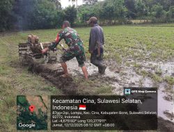 Wujud Kemanunggalan TNI-Rakyat : Babinsa Koramil Cina Bantu Petani Pacu Pengolahan Lahan Pertanian