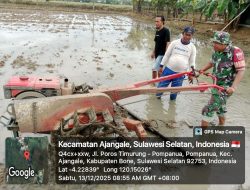 Babinsa Koramil 1407-01/Ajangale Turun ke Sawah! Pastikan Lahan Petani Pompanua Siap Tanam