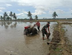 Garap Lahan Demi Ketahanan Pangan : Babinsa Kodim 1407/Bone Koramil 02/Dua Boccoe Dampingi Petani Bajak Sawah