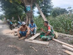 Beri Motivasi, Babinsa Ponre Kodim 1407/Bone Komsos Dengan Petani Jagung