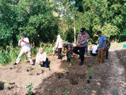 Dukung Ketahanan Pangan Lokal, Babinsa Koramil 1407-09/Lapri Dampingi KWT Maroanging Tanam Cabai Perdana