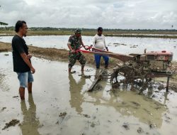 Akselerasi Masa Tanam : Babinsa Koramil 1407-01/Ajangale Terjun Langsung Operator Traktor Di Sawah Warga