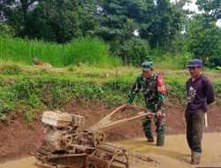 Pacu Percepatan Tanam, Babinsa Koramil 1407-20/Bontocani Turun Ke Sawah Operasikan Traktor Bantu Petani Kahu