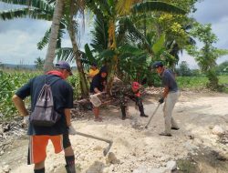 Permudah Akses Petani, Babinsa Koramil 1407-05/Ulaweng-Amali Pelopori Pembenahan Jalan Tani Di Desa Bila